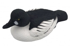 gogol drake